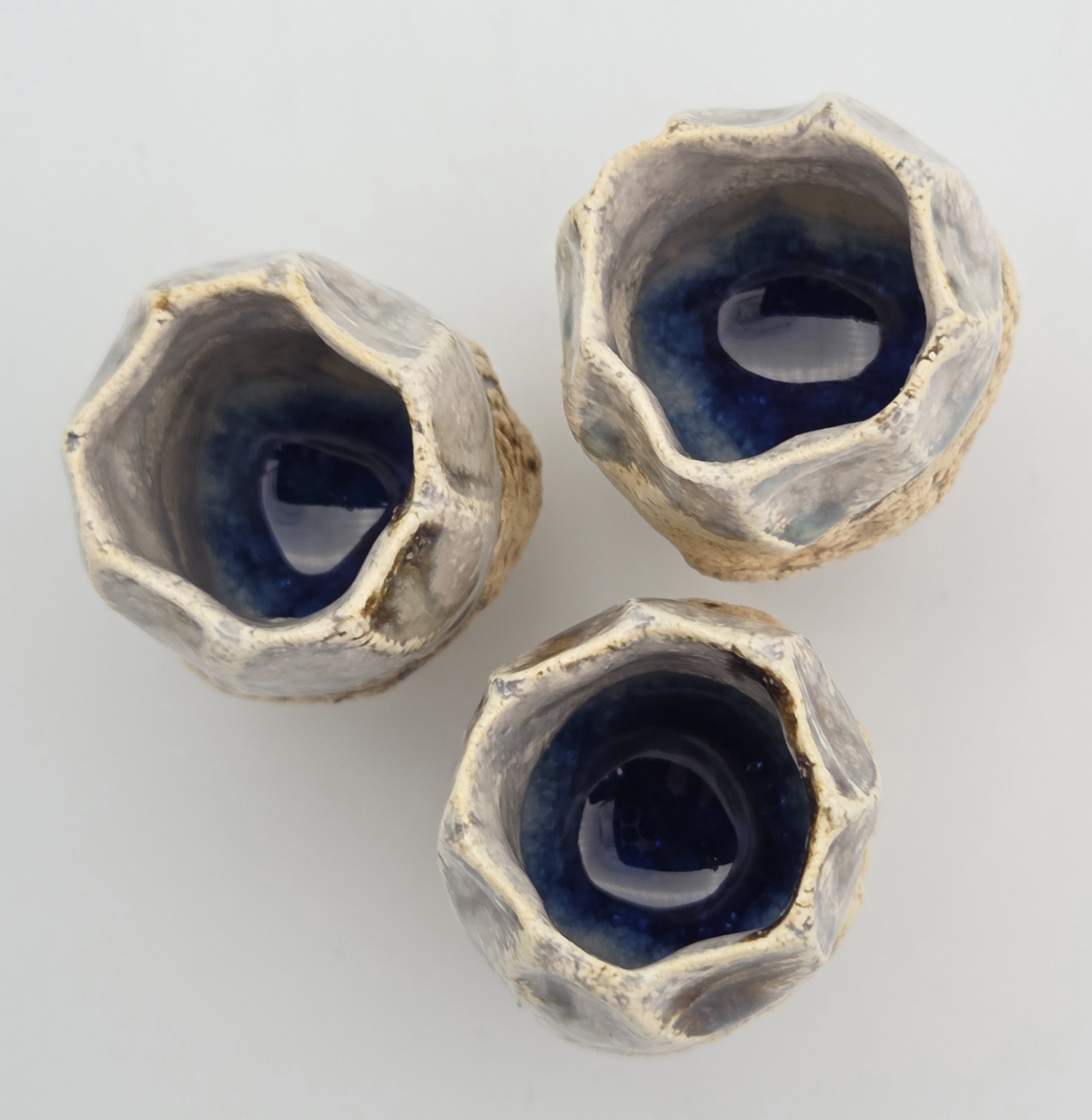 A trio of Sea Pods - Image 5